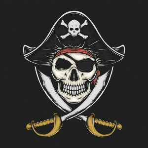 Team Page: Pirates of the Caribbean